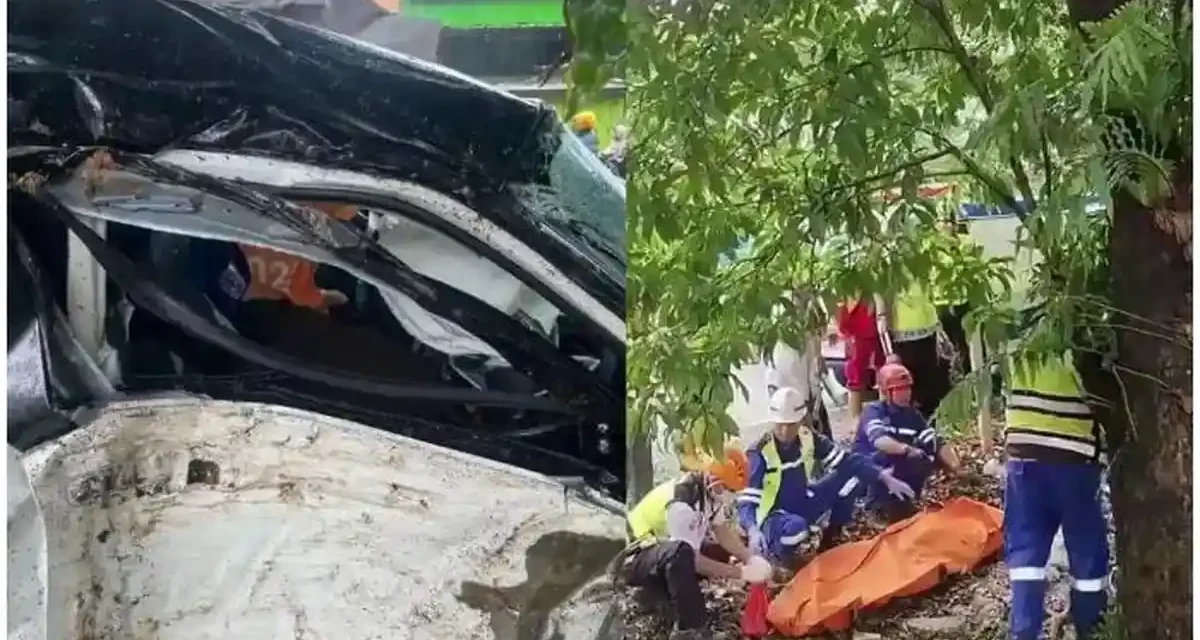 Kecelakaan Maut Di Jalan Tol, Istri DPRD Sulsel Tewas