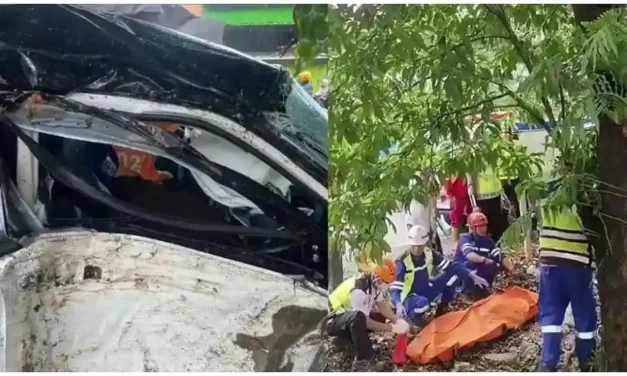 Kecelakaan Maut Di Jalan Tol, Istri DPRD Sulsel Tewas
