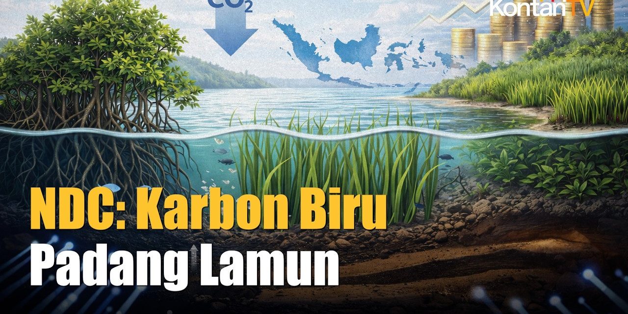 Padang Lamun Jadi Sorotan BRIN Karena Menyimpan Karbon
