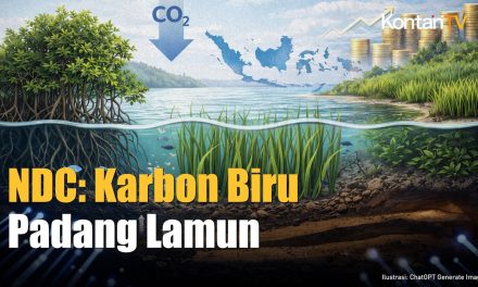 Padang Lamun Jadi Sorotan BRIN Karena Menyimpan Karbon