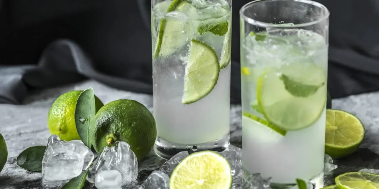 Ide Minuman Lebaran: 11 Resep Segar Dan Lezat Untuk Keluarga