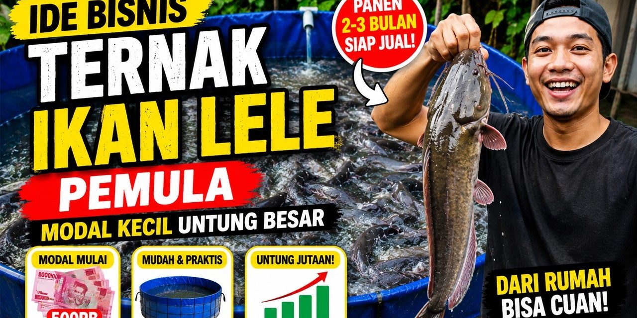 Usaha Ternak Ikan Lele: Modal Mulai Dari Rp 1 Juta Ke Bawah