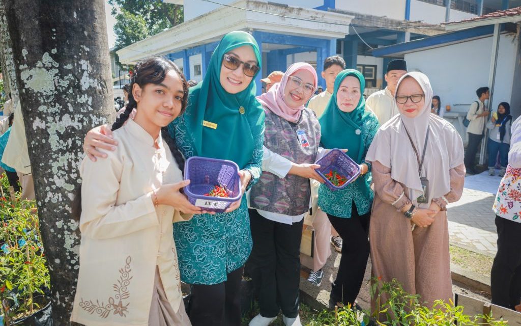 Strategi Sukses Budidaya Cabai Untuk Koperasi Wanita