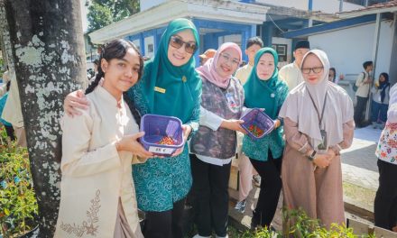 Strategi Sukses Budidaya Cabai Untuk Koperasi Wanita