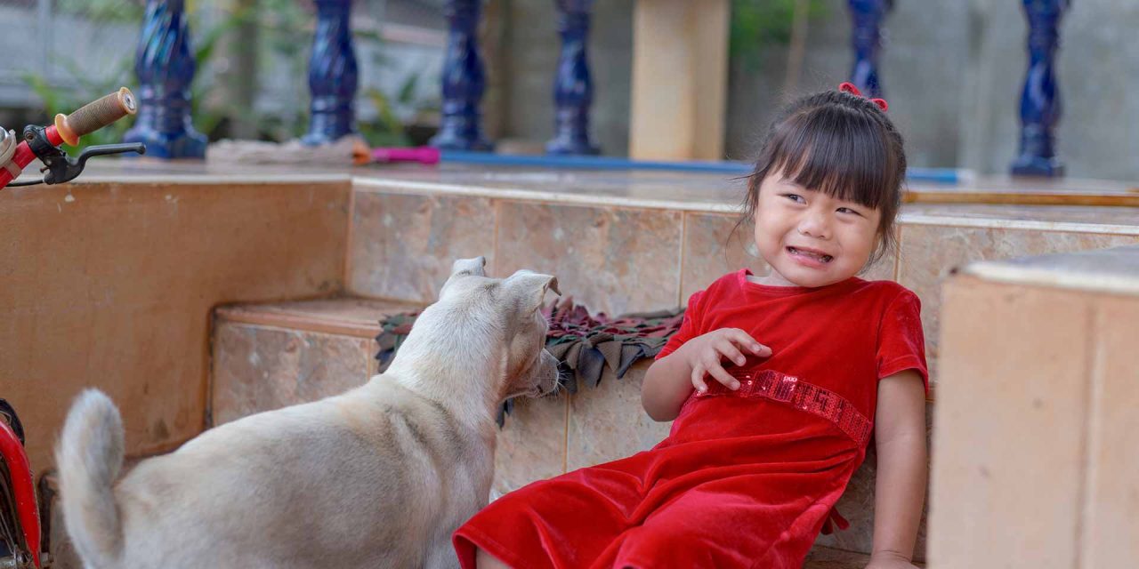 Mengenal Cynophobia, Yaitu Ketakutan Pada Anjing Berlebihan
