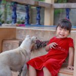 Mengenal Cynophobia, Yaitu Ketakutan Pada Anjing Berlebihan