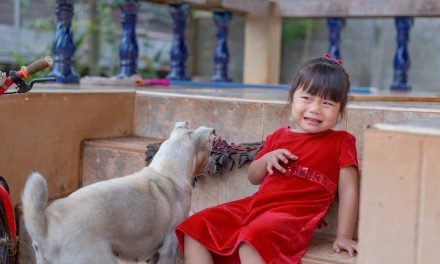 Mengenal Cynophobia, Yaitu Ketakutan Pada Anjing Berlebihan