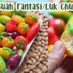 Lukchup Makanan Miniatur Dari Thailand Yang Viral Di Medsos