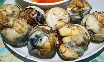 Manfaat Telur Balut Menjaga Kesehatan Tulang, Sendi, Dan Gigi