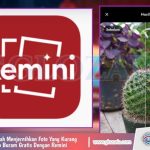 Edit Foto Di Remini: Ubah Foto Buram Jadi Tajam Dalam Sekejap!