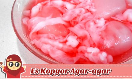 Kesegaran Es Kopyor Rumahan Yang Sangat Mudah Di Buat