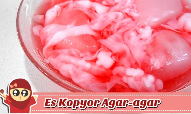 Kesegaran Es Kopyor Rumahan Yang Sangat Mudah Di Buat