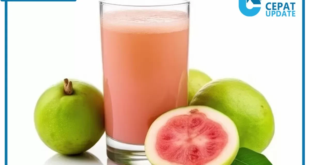 Guava Merah: Buah Lokal Dengan Khasiat Untuk Kesehatan