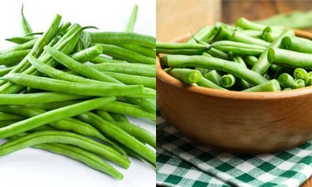 Jangan Di Remehkan! Buncis Punya Serat Tinggi & Nutrisi Penting