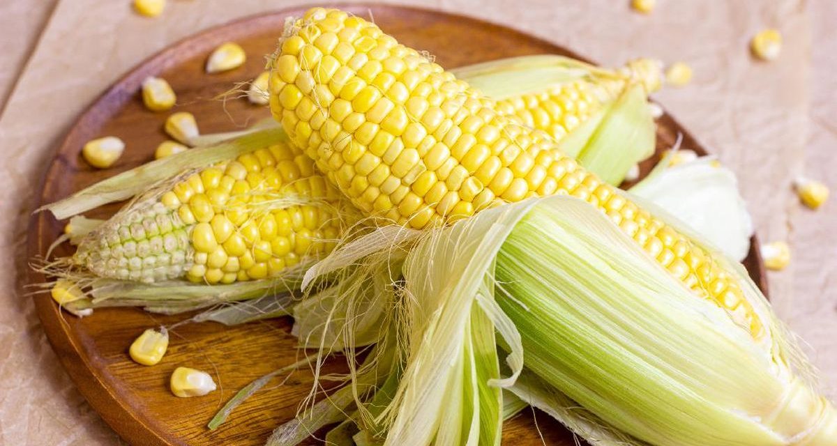 Buah Jagung Manis Menjadi Buah Populer Dan Kaya Nutrisi